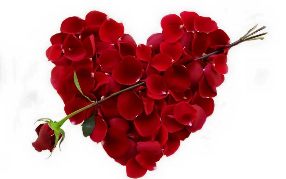 Valentine’s Day: 10 Perfect Ideas
