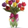 Colorful Tulips_Anniversary