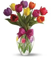 Colorful Tulips_Anniversary