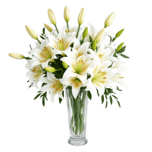 Serenity Cheer white lily bouquet same-day delivery South Africa Kaiflora
