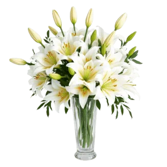 Serenity Cheer - Vase with White Lilies