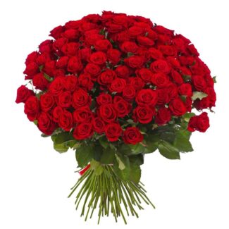 100 red roses e1688856270811