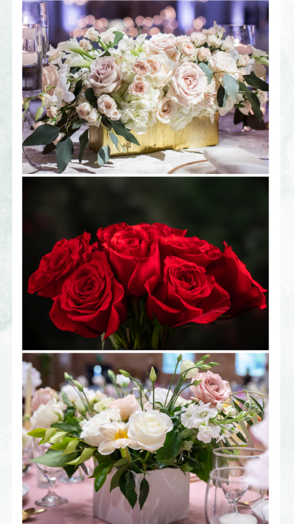 Roses Category