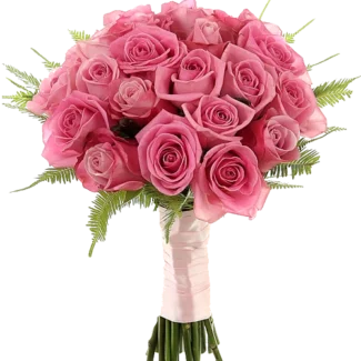 Pink Punch bunch