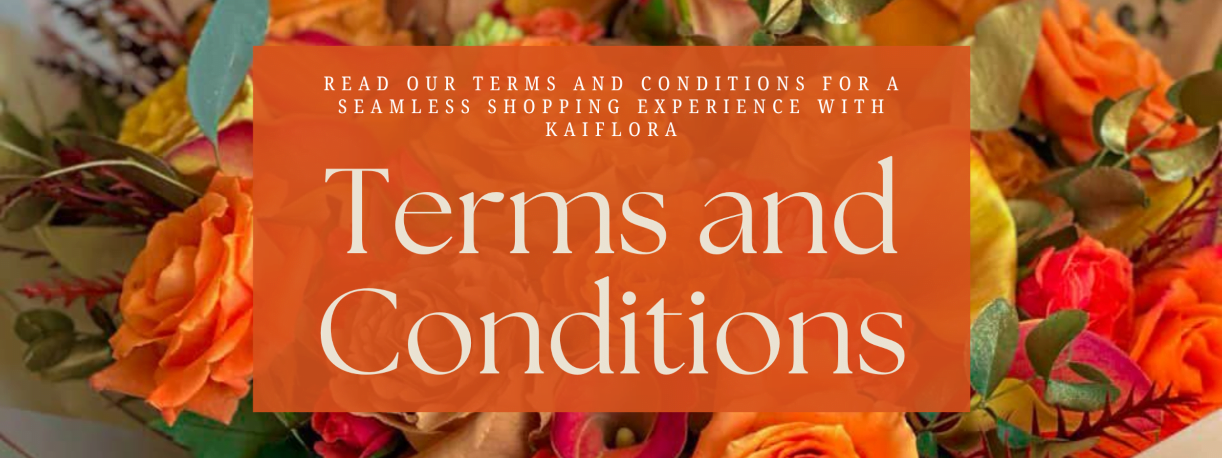 Terms and Conditions