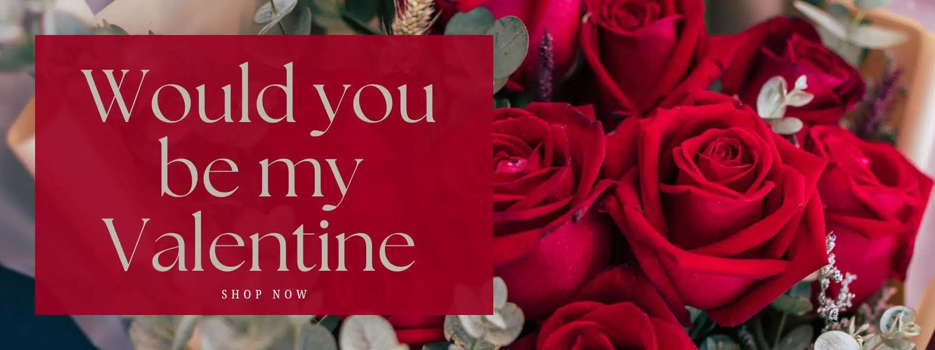 Would you be my Valentine