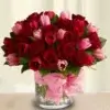 Romantic Radiant_Happy Birthday