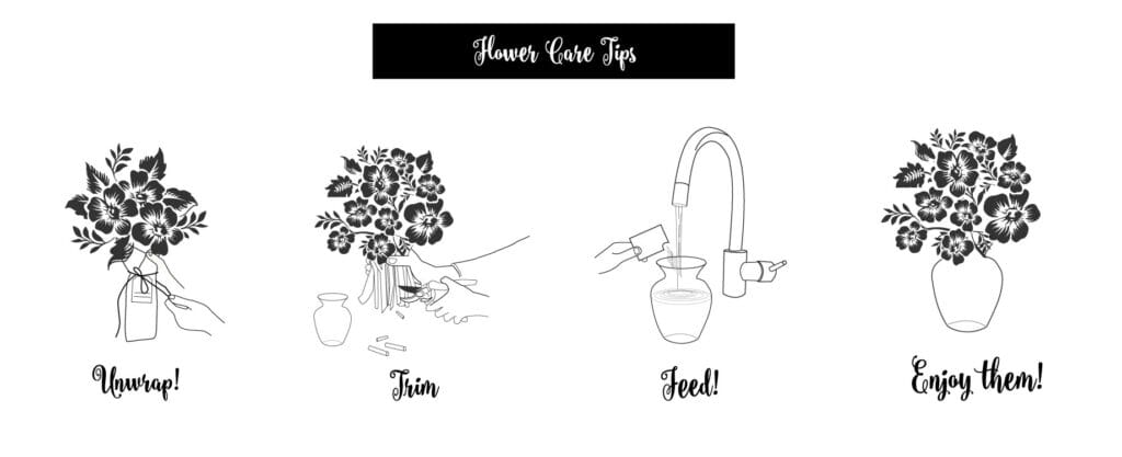 Flower Care Guide 2 Additional Pro Flower Care Tips